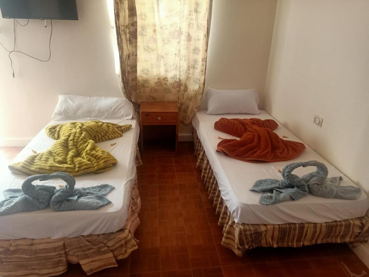 Nuweiba Oasis Hotel Szoba fotó