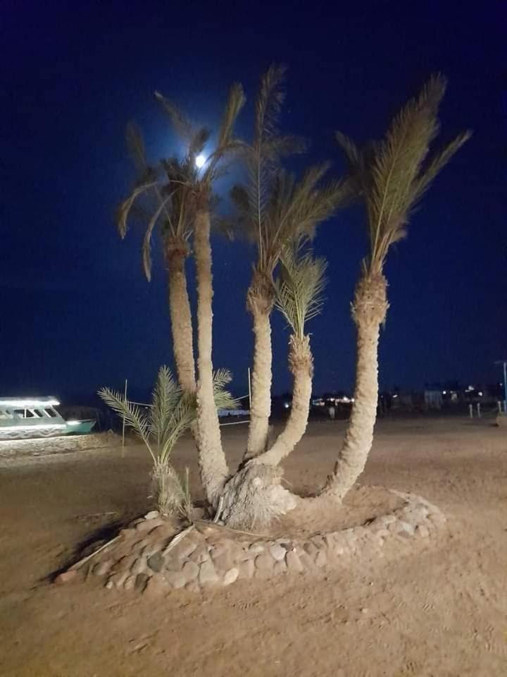 Nuweiba Oasis Hotel Kültér fotó